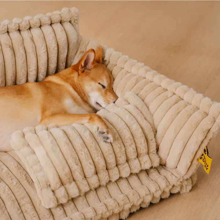 Washable Huggy-Cuddle Spine-Relief Orthopedic Dog Sofa